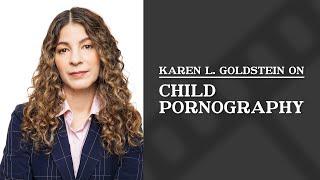 What possible defenses might be raised in a child pornography case? | Karen L. Goldstein