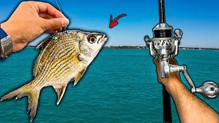 Luckiest Day Of Fishing? Light Tackle VS Heavy Structure & BIG Fish!