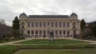 Visite de... PARIS : Grande galerie de l'évolution