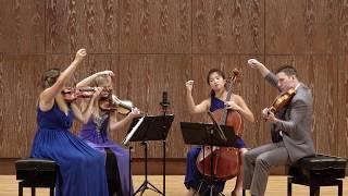 Bartók String Quartet No. 4 — IV. Allegretto Pizzicato