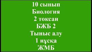 10 сынып Биология 2 тоқсан БЖБ 2 Тыныс алу 1 нұсқа ЖМБ