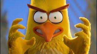 THE ANGRY BIRDS 2 CHUCK Best Moments [HD] ANIMATION MOVIES