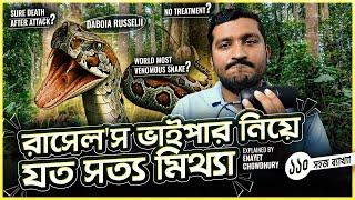 রাসেল'স ভাইপারের সংখ্যা এতো বাড়লো কেন বাংলাদেশে? Russel's Viper Boom in Bangladesh Enayet Chowdhury