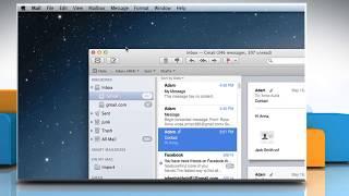 How to take offline the mail accounts of Mail app in Mac® OS X™