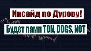 ИНСАЙД ПО ДУРОВУ! БУДЕТ ПАМП TON, DOGS, NOT