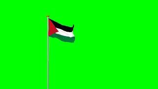 State of Palestine flag green screen videos free use #national #flags | FREE USE 4K VIDEOS