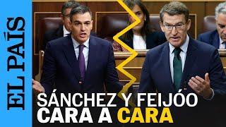 Los mejores momentos del cara a cara entre Sánchez y Feijóo en la sesión de control | EL PAÍS