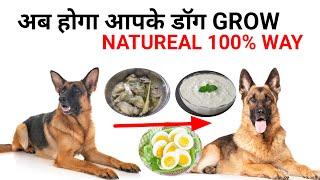 अब होगा आपके डॉग Grow // How to grow your dog 100% working