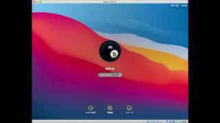 macOSX BigSur(Beta 3) Boot on Oracle VirtualBox (macosx catalina)