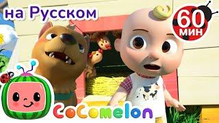 Бинго на Ферме  | Сборник 1 час | CoComelon на русском — Детские песенки