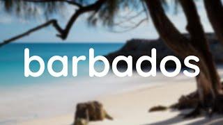 Scandinavianz - Barbados [Official] Tropicalhouse  #freemusic #barbados #musicasincopyright