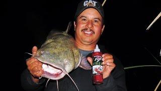 Pautzke's Catfish Nectar Bait Review