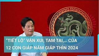 Tử vi, vận hạn năm Giáp Thìn 2024 và những điều cần lưu ý của 12 con giáp | Cuộc sống 24h