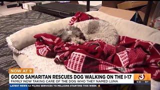 Man who saved dog on Phoenix freeway now taking care of pup