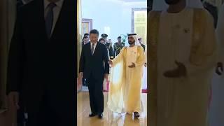 Sheikh Mohammed Bin Rashid Al Maktoum Introduce Cabinet Ministers To China President #xijinping #dxb