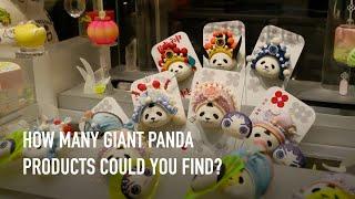 How many panda products can you find in Chengdu?