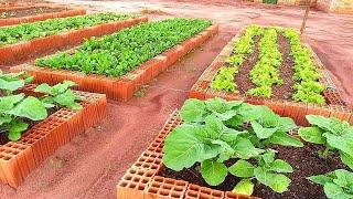 COMO FAZER UMA HORTA EM CASA (EM 1 MINUTO PASSO A PASSO)