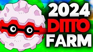 PokeMMO: The NEW EASIEST Way To Farm Ditto (2024)