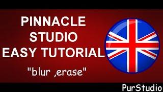 Pinnacle Studio ULTIMATE : how to blur or erase a logo or a title