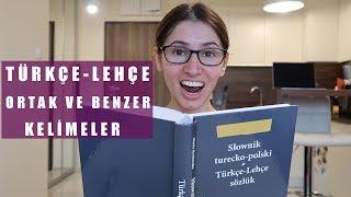 Türkçe ve Lehçe arasındaki ortak ve benzer kelimeler