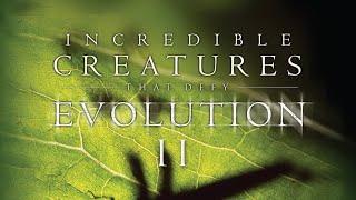 Incredible Creatures That Defy Evolution 2  | Full Movie | David Hames