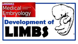 Langman Chapter#12 | Embryology of LIMB Development | Dr Asif Lectures