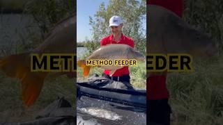 Method Feeder #methodfeeder #carpfish #fishing #karp #feederfishing #carp #karpiarz