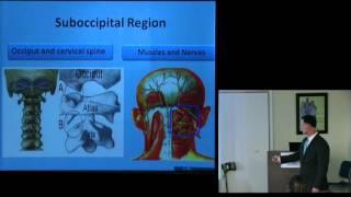 CSF presents "Physical Therapy in Patients with Craniocervical Instability & Chiari"