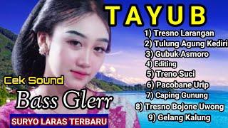 tayub suryo laras terbaru tresno larangan full album yang enak di dengar baas gler...