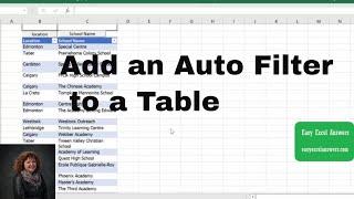 How to Add an Auto Filter to a Table in Excel.