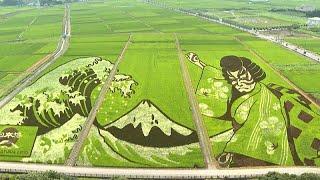 Japanese city transforms agricultural land into works of art