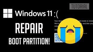 Repair Windows 11 Boot Partition | Includes Files and Partitioning