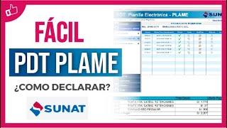 Como declarar el PDT PLAME 2022 - Sunat (Actualizado) | Por primera vez tutorial paso a paso