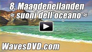 8 - Beste Maagdeneilanden Stranden DVD ontspanning natuur video's Oceaan geluiden ontspannen strand