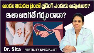ఆ సమయంలో రక్తస్రావం || What Causes Bleeding During Ovulation? | Ovulation Bleeding || Boon Fertility