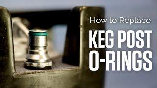How to Replace Keg Post O-rings on Corny Kegs