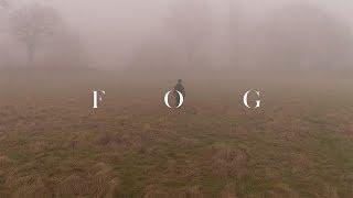 Fog