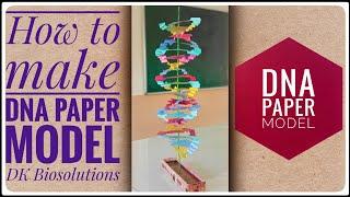 DNA paper model | Science Exhibition working Model for School 