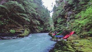 Exploring remote canyons in BC - Dipper Creek kayaking!