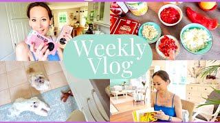 ️ Weekly VLOG I ACTION Einkauf ️ I Chili sin Carne kochen‍I Bücherliebe ️️