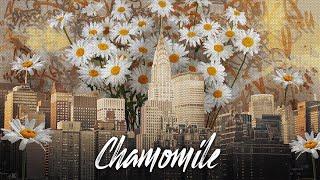 Картина - Ромашки в Нью Йорке | Chamomile in New York