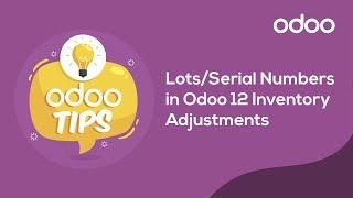 Odoo Tips - Lots and Serial Numbers in Odoo 12 Inventory Adjustments