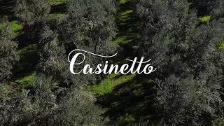 Casinetto olive oil farm in Italy
