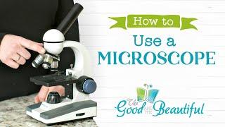How to Use a Microscope | The Good and the Beautiful