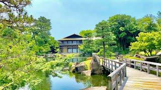 4K Japan Walk - Beautiful Japanese Garden in Nagoya (Tokugawaen) | Koi Fish | Nagoya Summer 2021