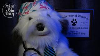 ASMR COVID Test Dogtor Milo Takes Over the CDC