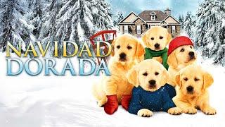 Navidad Dorada | Familia | Aventuras | Peliculas Completas en Espanol Latino