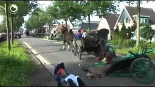 Horse Carriage Crash