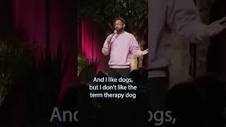 Therapy dog vs therapist #jokes #mentalhealth #therapy