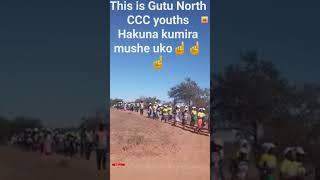 "CCC Youth Take Charge: Challenging  Prevailing Forces in Gutu, Paving the Way for Transformation"